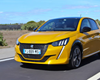 /slike/rapex_slike_arhiva/g2024/m05/peugeot 208 II.png